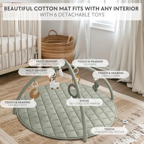 Stylish Baby Play Gym and Mat with Toys