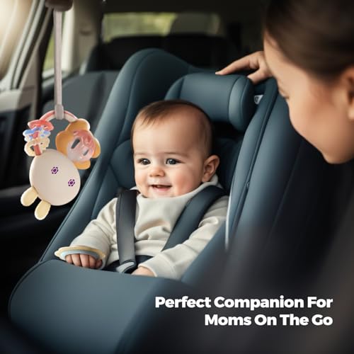 Evoceler Baby Toys: 10 Pcs Rattles and Teethers