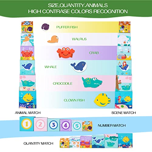 Ocean Stacking Educational Toys for 1-3 Year Olds
