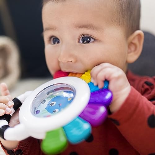 Baby Einstein Octopus Sensory Rattle & Teether Toy