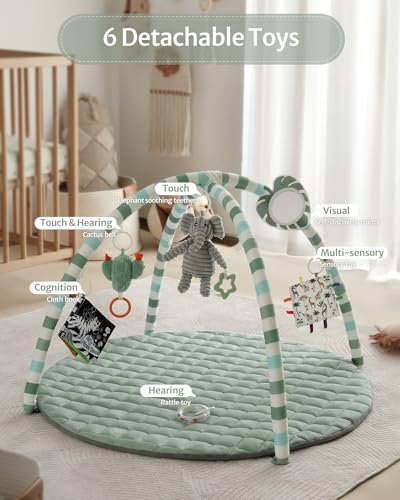 Blissful Diary Baby Play Gym with Detachable Toys