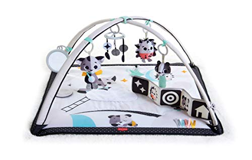 Deluxe Black & White Gymini Infant Activity Play Mat