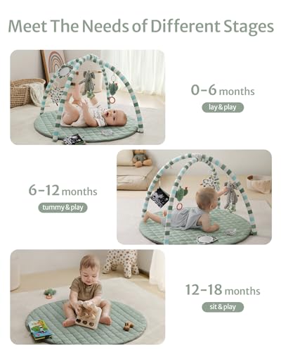 Blissful Diary Baby Play Gym with Detachable Toys