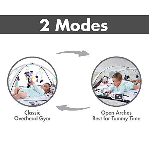 Deluxe Black & White Gymini Infant Activity Play Mat