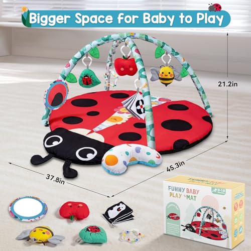Jyusmile Baby Play Gym Mat with 6 Toys