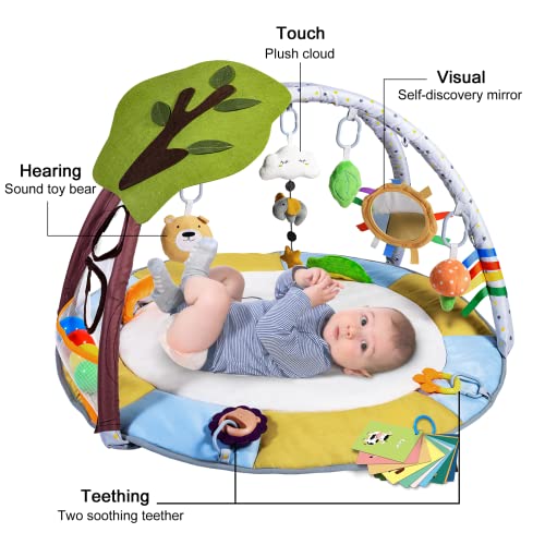 Lupantte Baby Gym Play Mat with 9 Sensory Toys