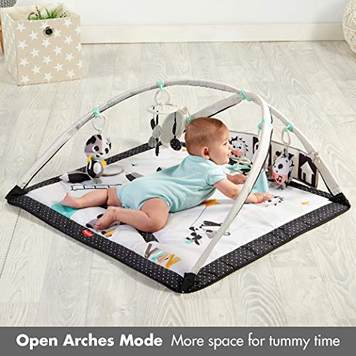 Deluxe Black & White Gymini Infant Activity Play Mat