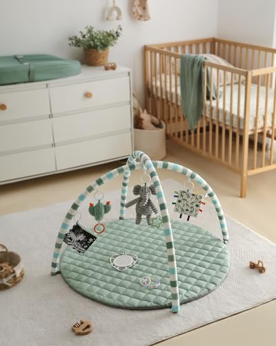 Blissful Diary Baby Play Gym with Detachable Toys