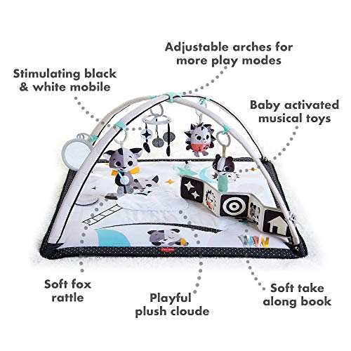 Deluxe Black & White Gymini Infant Activity Play Mat