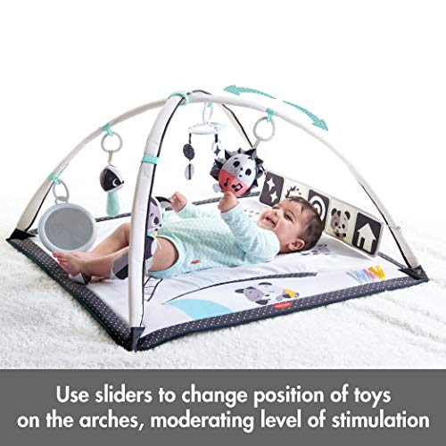 Deluxe Black & White Gymini Infant Activity Play Mat