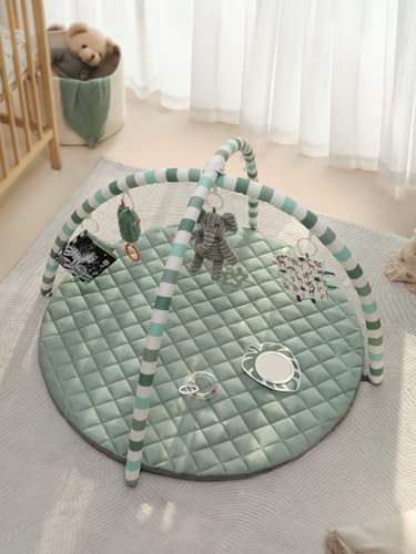 Blissful Diary Baby Play Gym with Detachable Toys