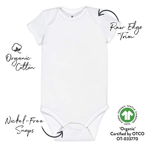 HonestBaby Organic Cotton Baby Bodysuits and Toddler Shirt