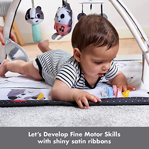 Deluxe Black & White Gymini Infant Activity Play Mat