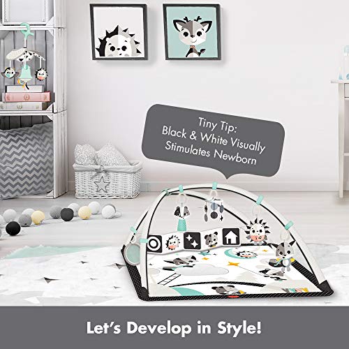 Deluxe Black & White Gymini Infant Activity Play Mat