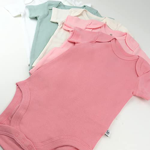 Organic Cotton Short Sleeve Bodysuits 5-Pack for Baby Girls