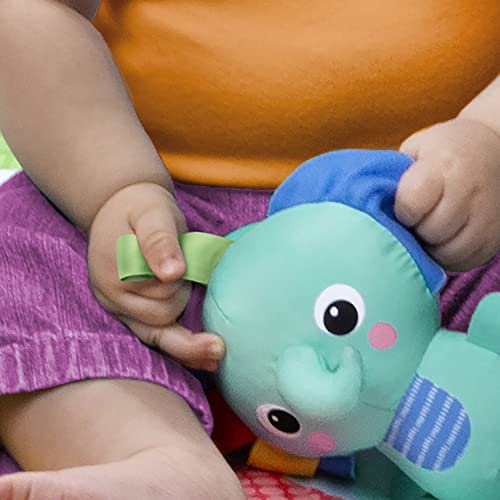 Wild Wiggles Baby Activity Gym and Play Mat