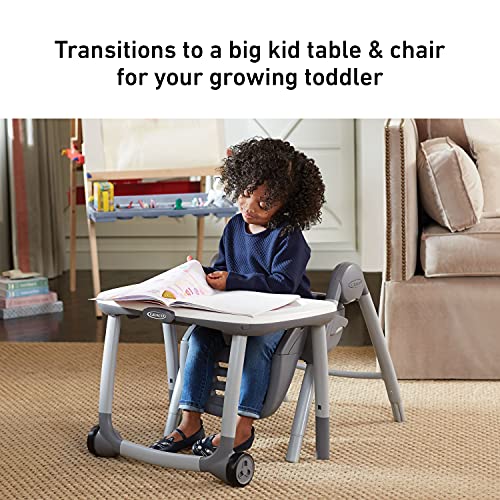Graco 7-in-1 Convertible High Chair & Booster