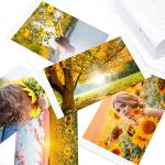 KCMYTONER Canon Selphy Ink and Paper Set