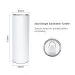 10 Pack 20 OZ Stainless Steel Sublimation Tumblers