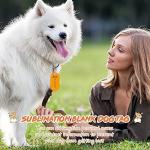 30 Sublimation Blank Dog Tags Set with Aluminum