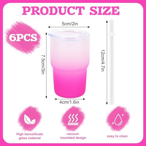 6 Pack Frosted Mini Gradient Color Tumblers
