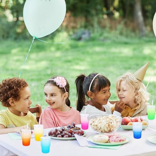 6 Pack Frosted Mini Gradient Color Tumblers