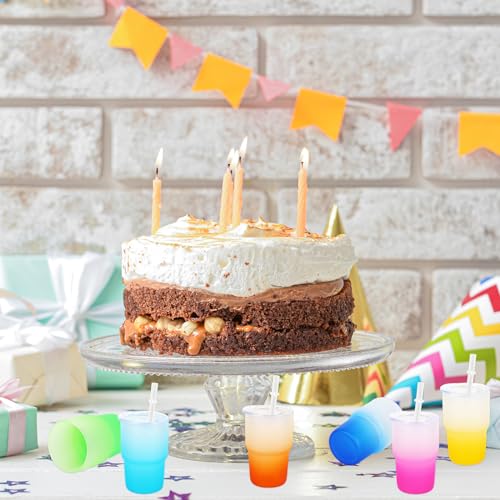 6 Pack Frosted Mini Gradient Color Tumblers