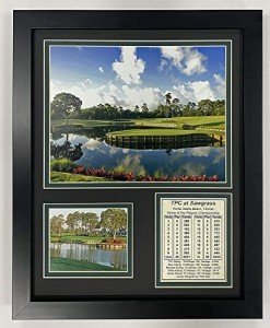 TPC Sawgrass Hole #17 Framed Photo Collage