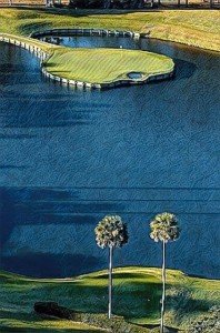 TPC Sawgrass 17th Golf Canvas Print - Ready to Hang