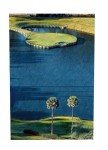 TPC Sawgrass 17th Golf Canvas Print - Ready to Hang