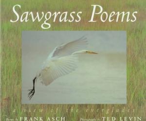 Sawgrass Poems: Everglades Sublimation Printer