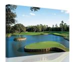 TPC Sawgrass Golf Course Canvas Wall Art