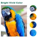 Baaland Yellow Sublimation Ink 2-Pack for Sawgrass