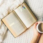 Magnetic Sublimation Bookmarks - 48 Blank Clips