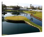 Golf Course Wall Art - TPC Sawgrass Canvas Prints