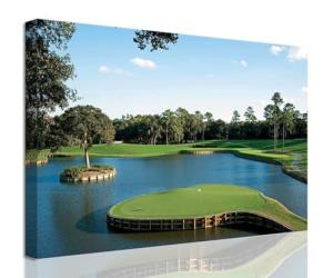 Golf Course Wall Art - Framed Print for Decor