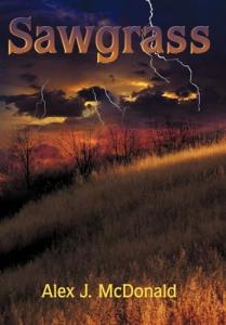 Sawgrass Sublimation Printer for Vibrant Prints