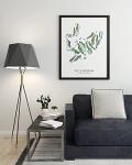 Nationcog TPC Sawgrass Golf Course Map Poster