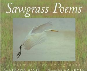 Sawgrass Poems: Everglades Poetry by Frank Asch