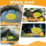 4 Pack Bee Watering Stations for Gardens and Ponds