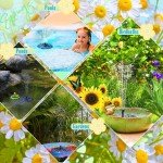 Upgraded Solar Floating Fountain with 6 Nozzles