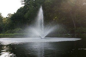1HP Floating Fountain for Ponds and Lakes