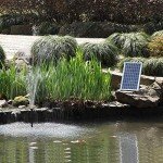 25W Solar Water Pump Kit for Fountains and Ponds
