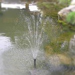 ECO-WORTHY 20W Solar Fountain Pump Kit 360GPH