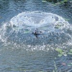 Floating Fountain Kit with Lights - 1/4 HP