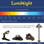 LumiNight 1-Watt LED Light Kit for Fountains