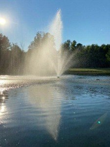 1 HP Floating Pond Fountain with Timer and Cord