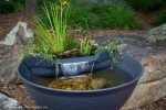 Aquascape AquaGarden Mini Pond Fountain Kit