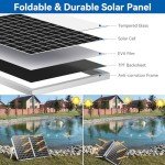 Solar Pond Fountain Pump with Filter Kit