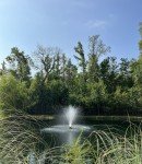 Floating Fountain with Lights for Ponds
